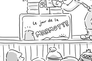 marmotte