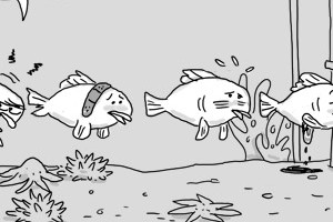 pechesetoceans